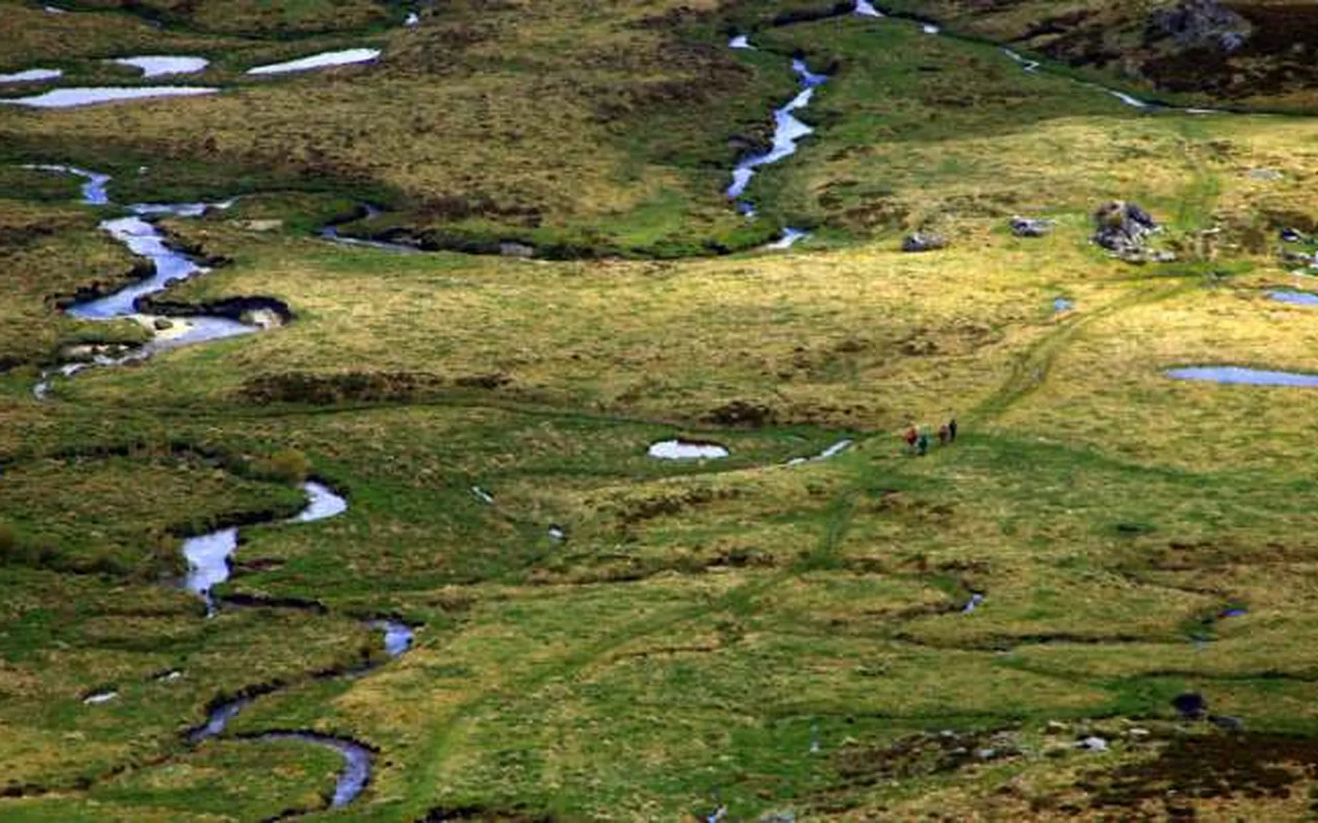 Vista aérea de la turbera de Aguas Cernidas, un mosaico verde y dorado de musgo y agua