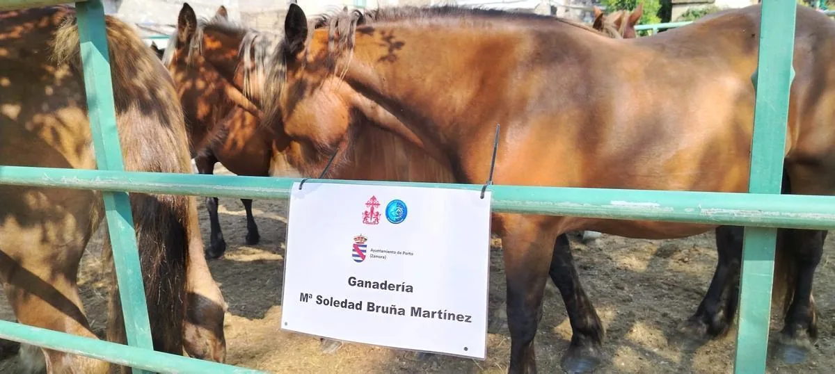 Cartel identificativo de la ganadería Mª Soledad Bruña Martínez