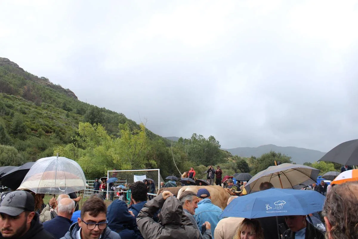 La lluvia acompañó toda la jornada de la feria