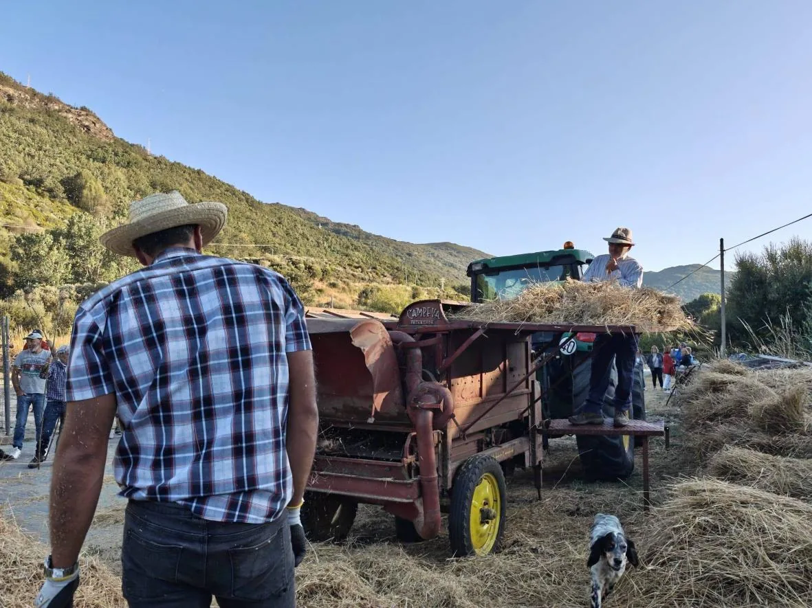 Máquina de majar accionada desde el tractor
