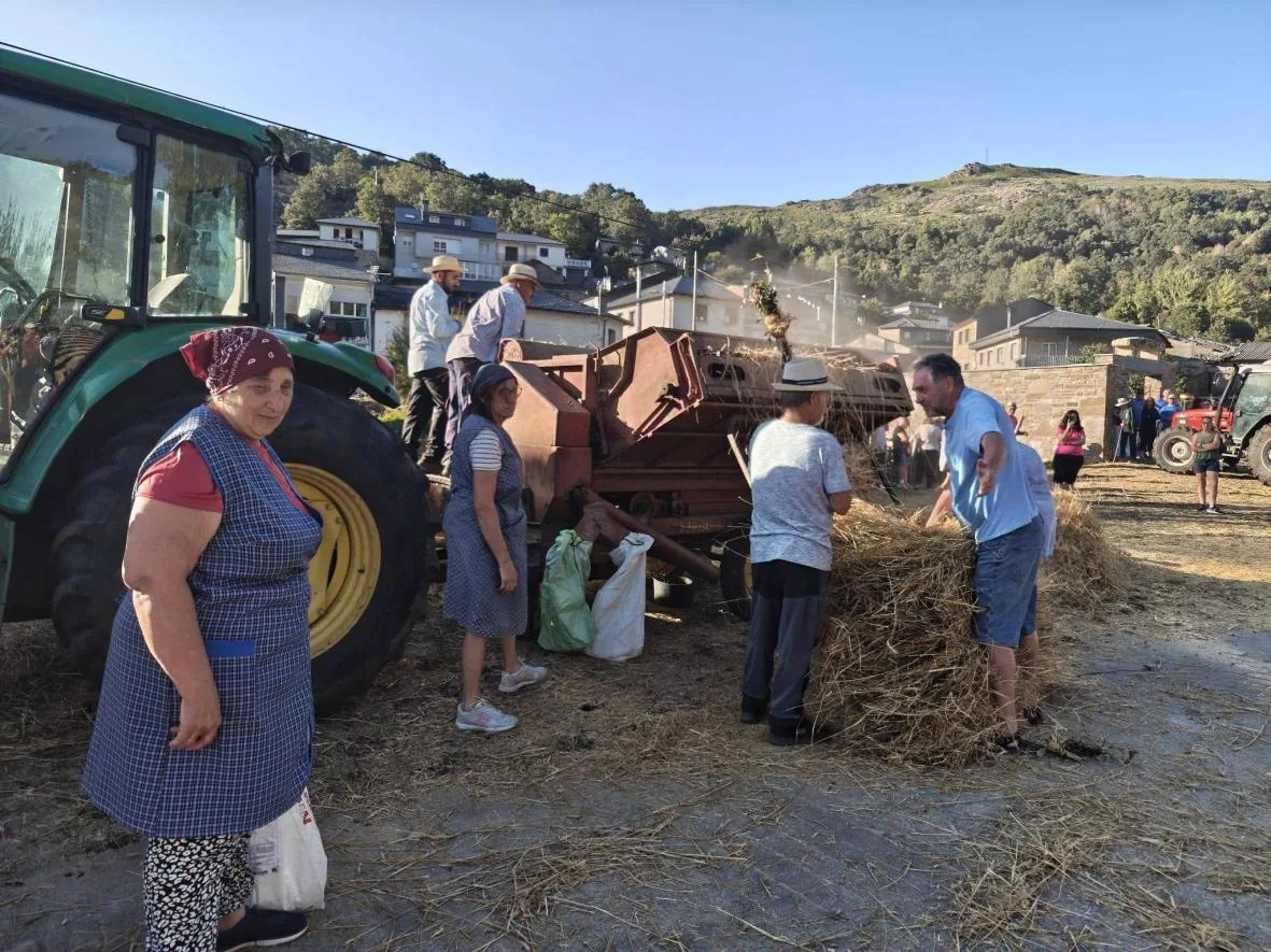 Vecinas y vecinos trabajando en la maja