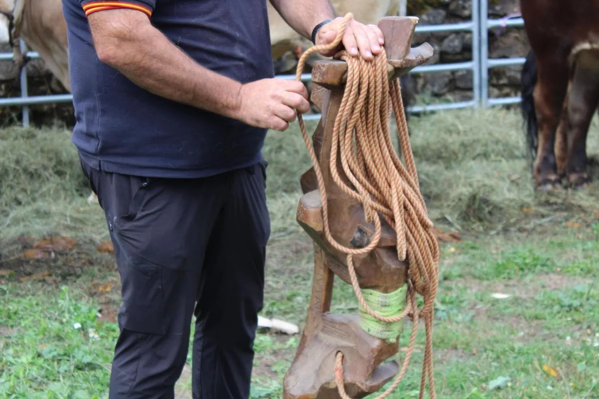Yugo tradicional utilizado en la prueba de arrastre