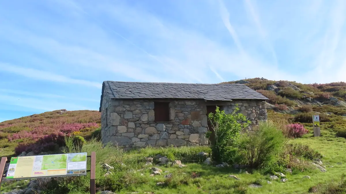 Refugio de piedra con panel informativo y brezo en flor