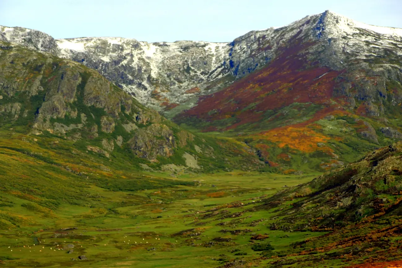 Valle de montaña con cumbres nevadas y laderas de brezo en la sierra de Porto