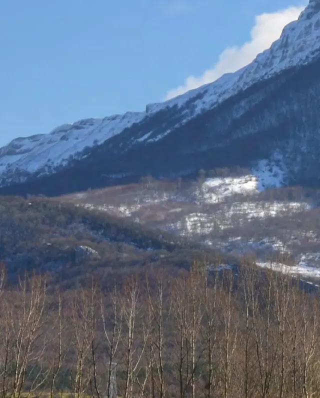 Montaña nevada sobre un bosque de ribera en invierno