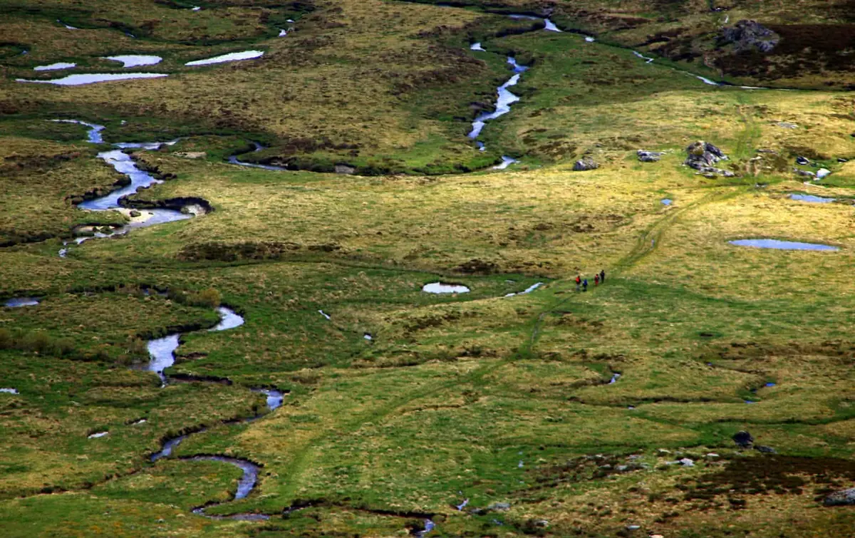 Turbera de montaña con arroyos serpenteantes