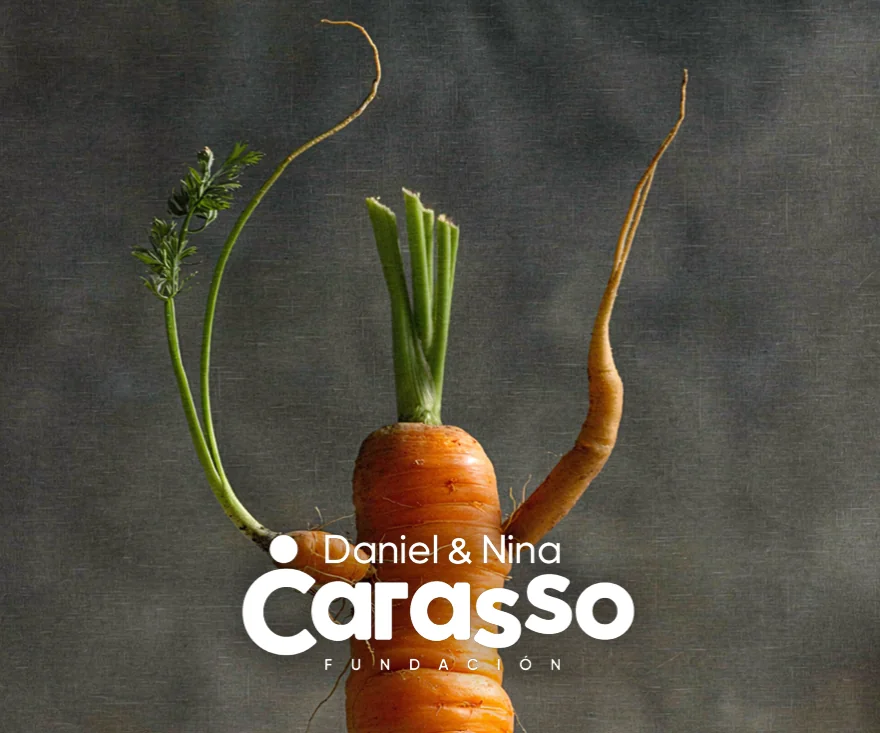 Fundación Daniel y Nina Carasso