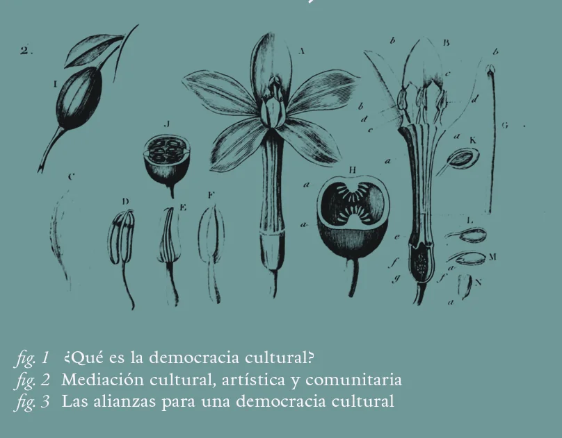 Lámina: ¿Qué es la democracia cultural? Mediación cultural, artística y comunitaria. Las alianzas para una democracia cultural