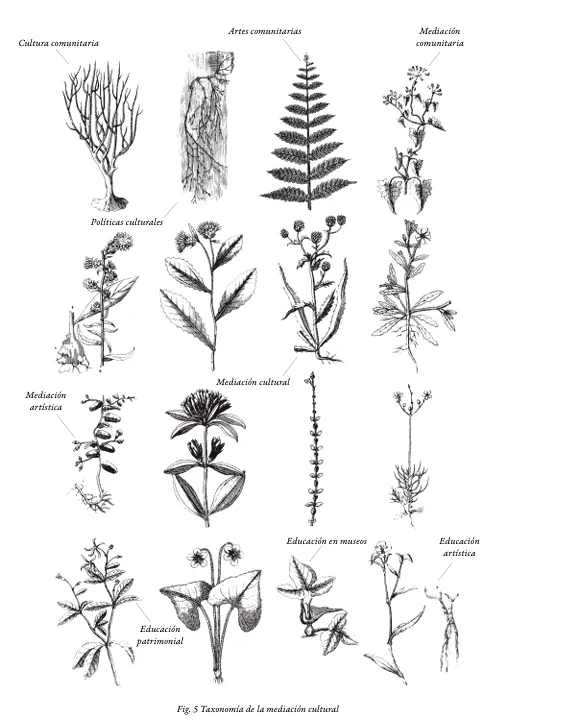 Lámina: taxonomía de la mediación cultural